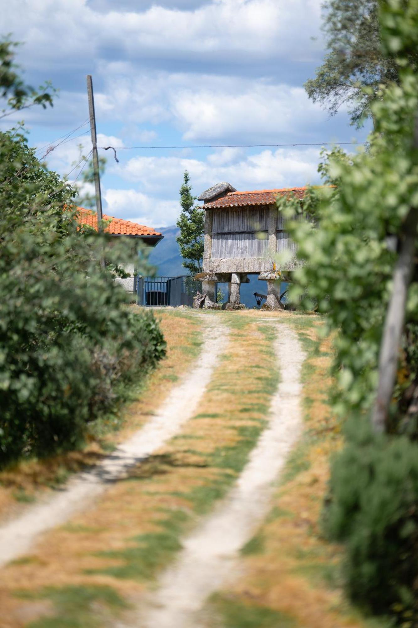 Quinta De Calvelos