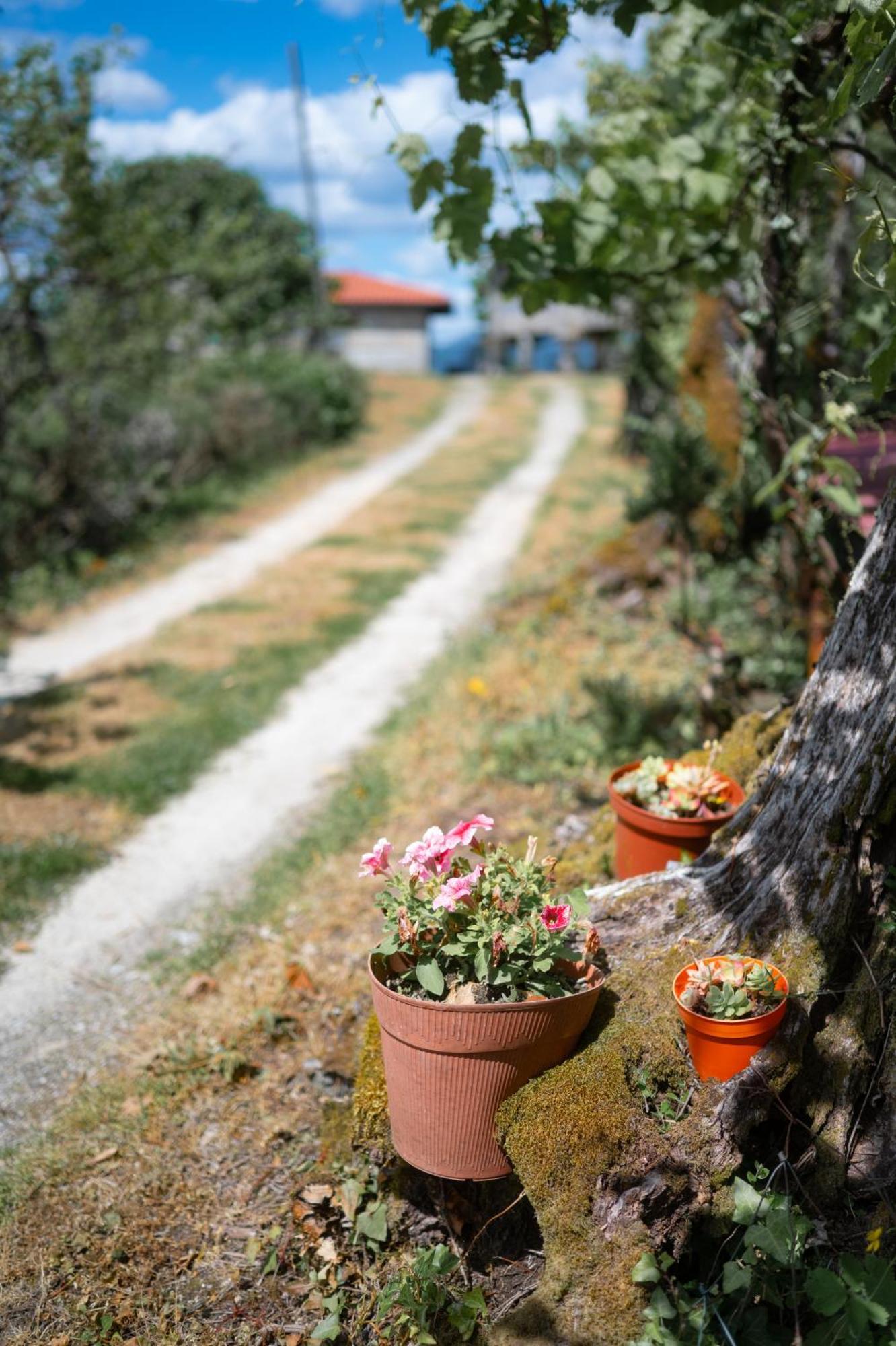 Quinta De Calvelos *