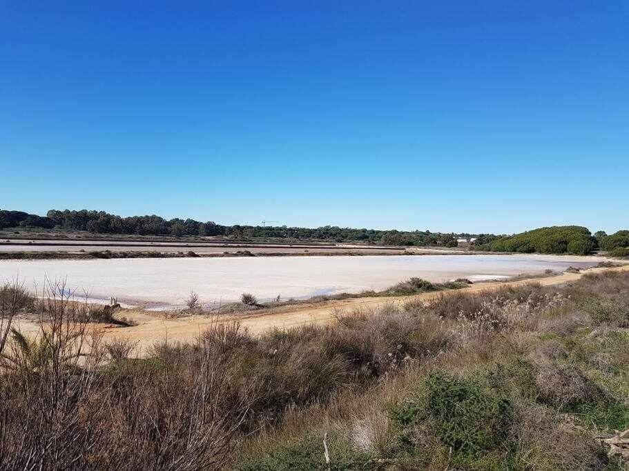 Ria Formosa Pineview Holiday home *