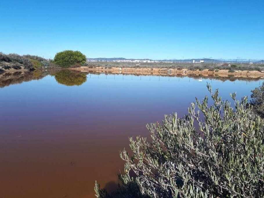 Holiday home Ria Formosa Pineview *