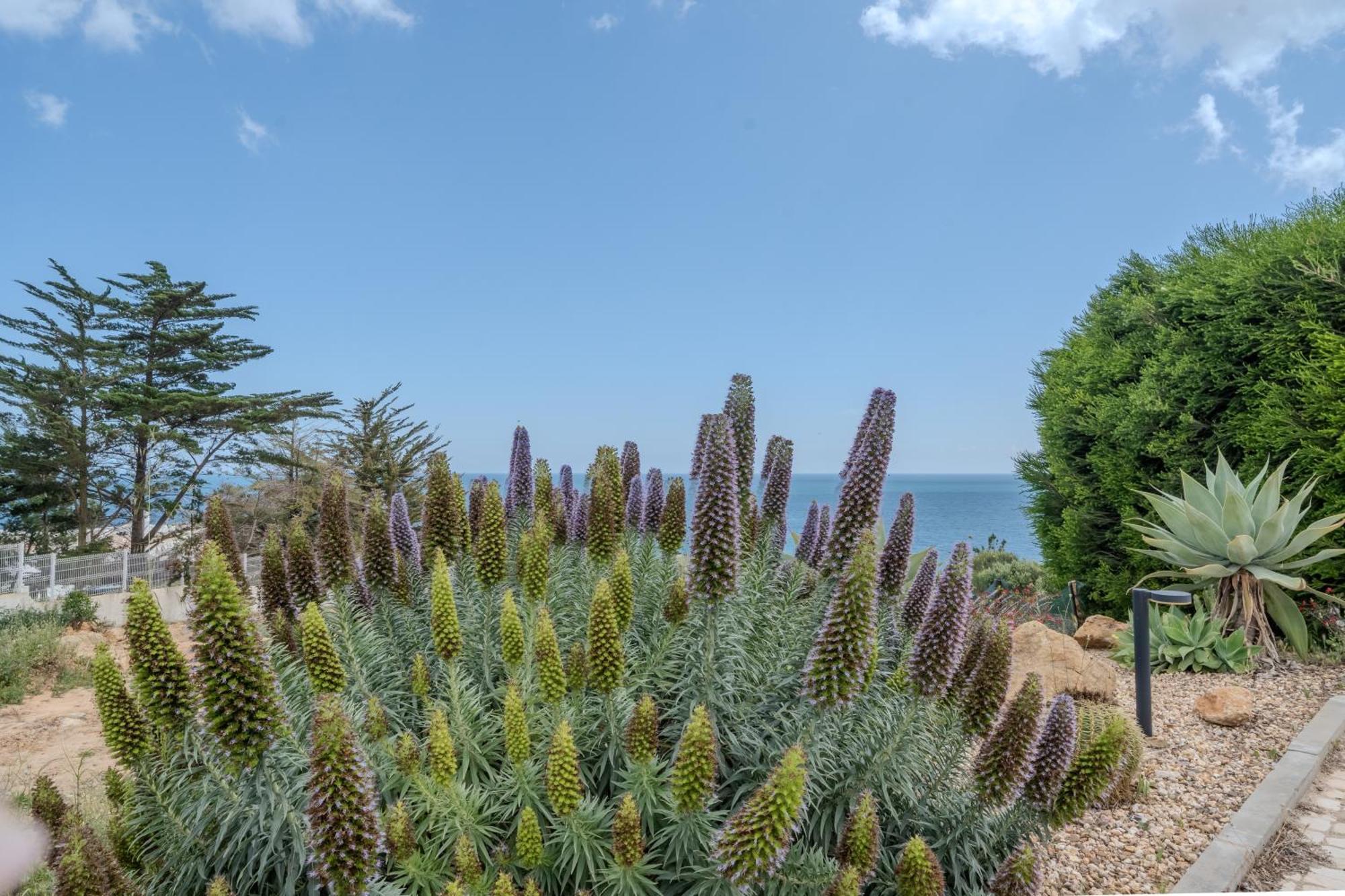 Ocean View With Private Terrace Praia Da Luz