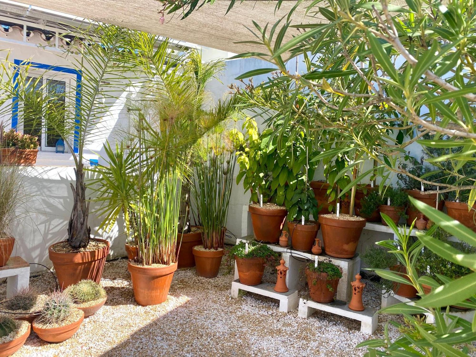 Primaveira Nur Fuer Erwachsene Holiday home Santa Barbara de Nexe