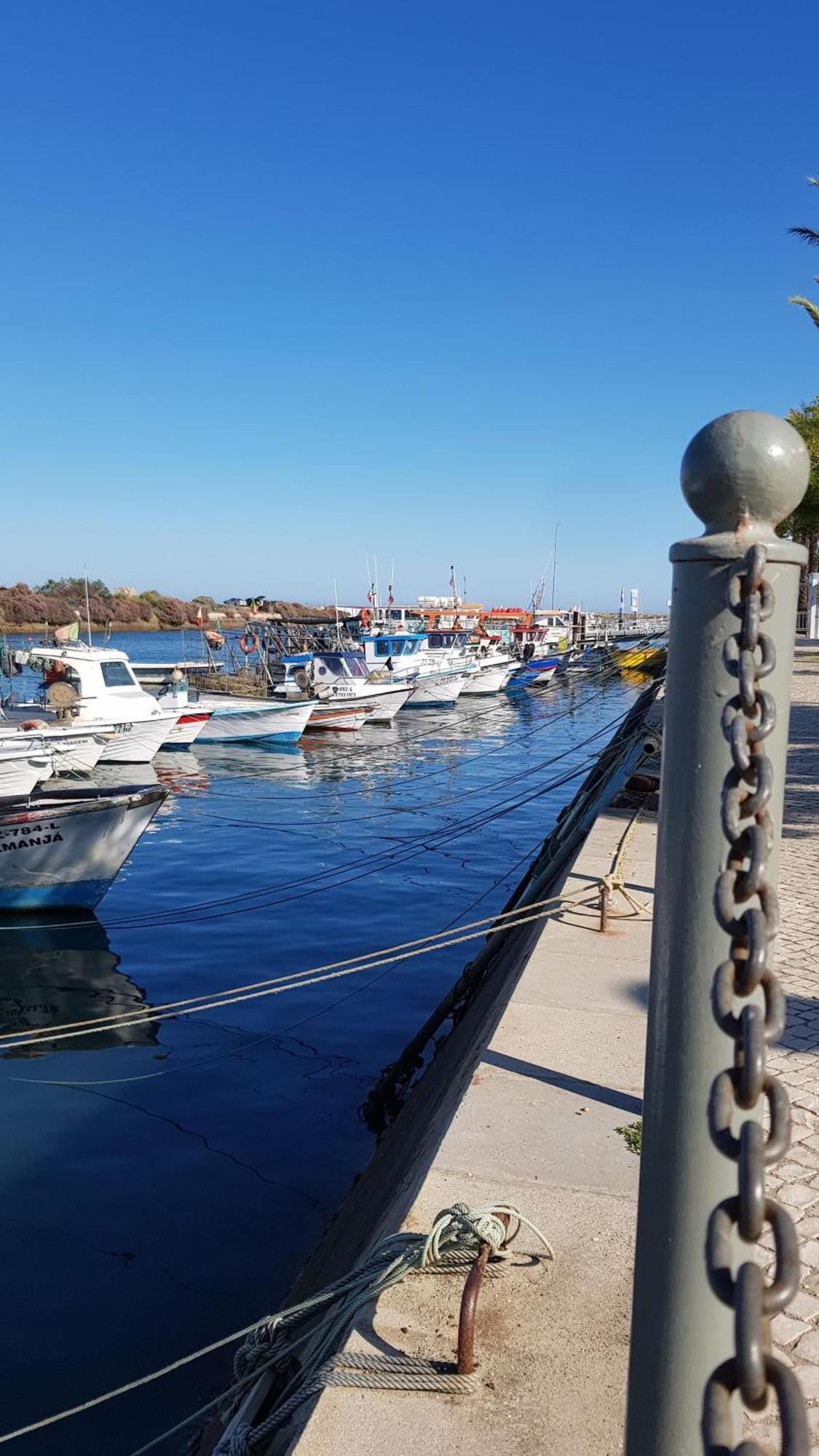 Mit Blick Auf Wasser