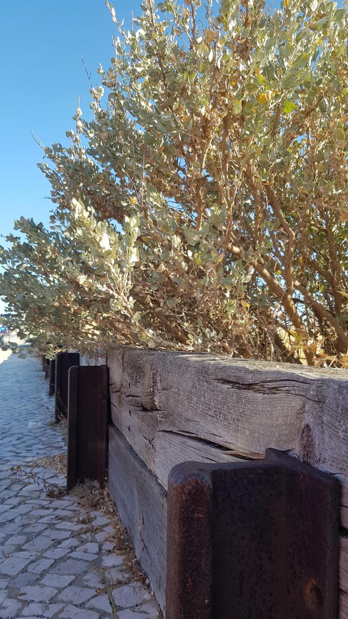Mit Blick Auf Wasser * Fuzeta