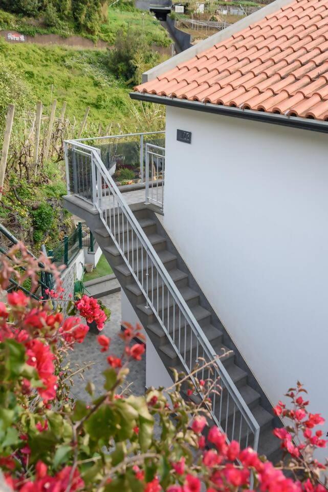 Apartment Vivenda Carlota Sea View By Mth Ribeira Brava