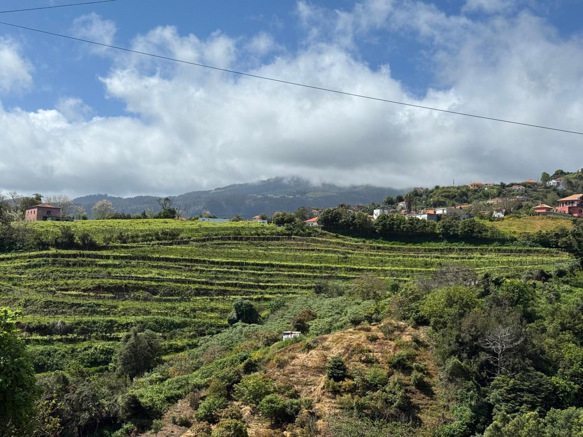 Holiday home Casa Do Farol Sao Jorge (Madeira)