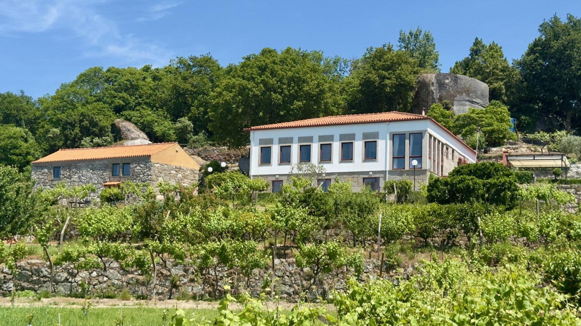 Farm stay Quinta De Casalmato