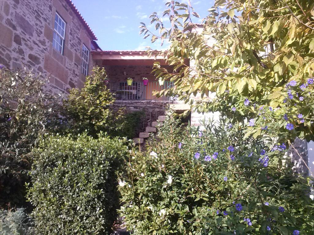 Mesao Guest house