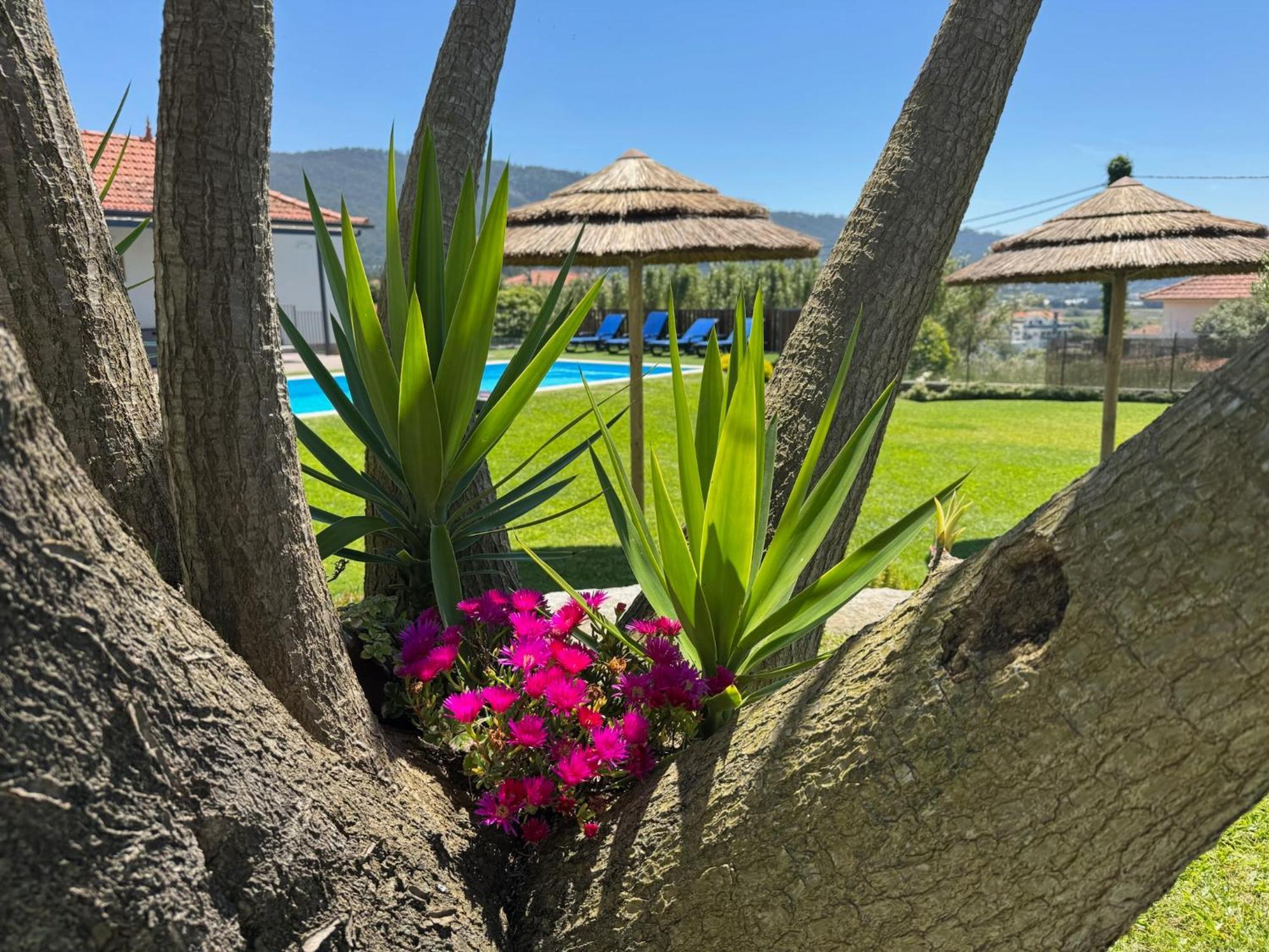 Holiday home Casa Do Cato Viana do Castelo