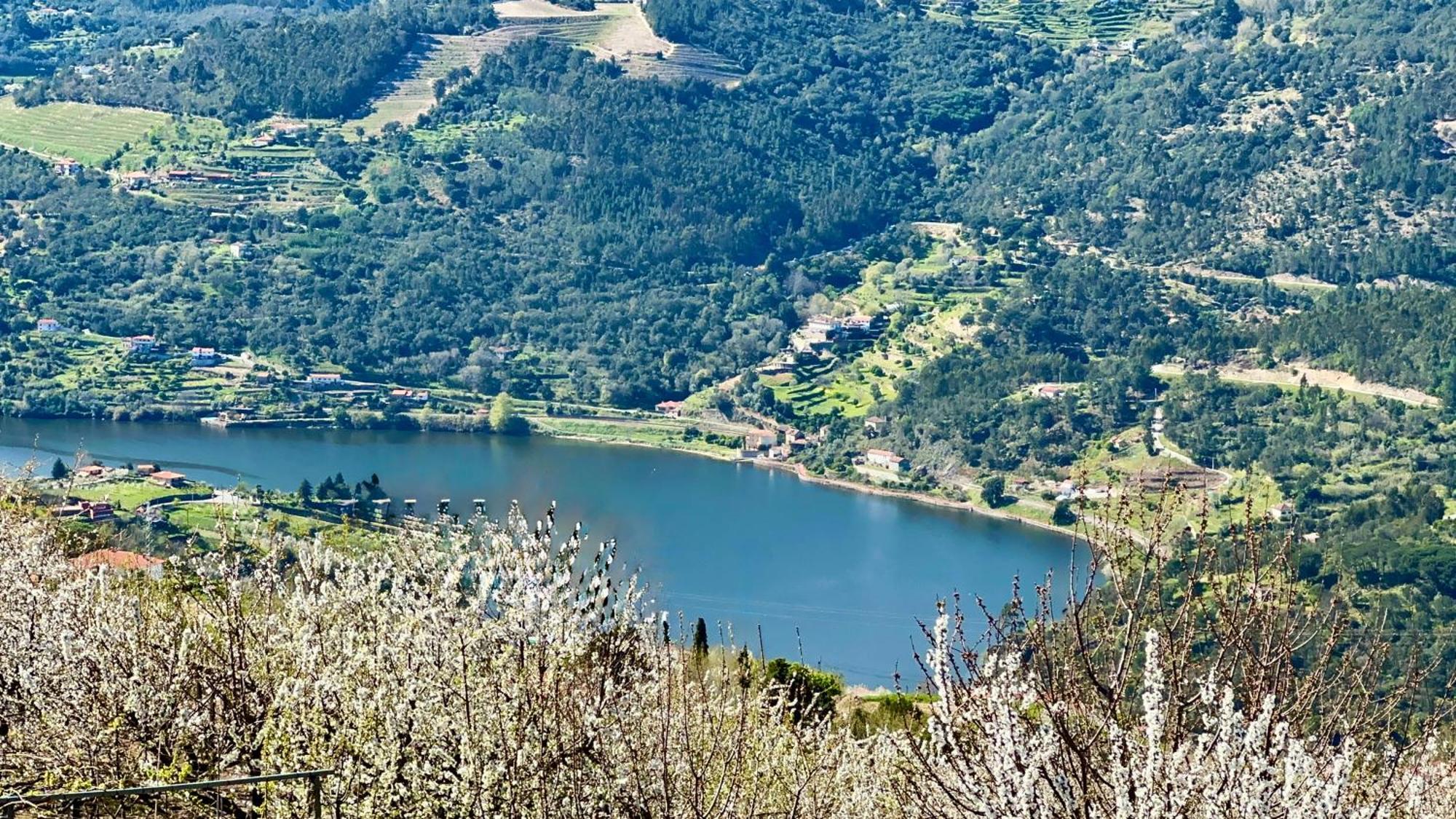 Quinta De Casalmato