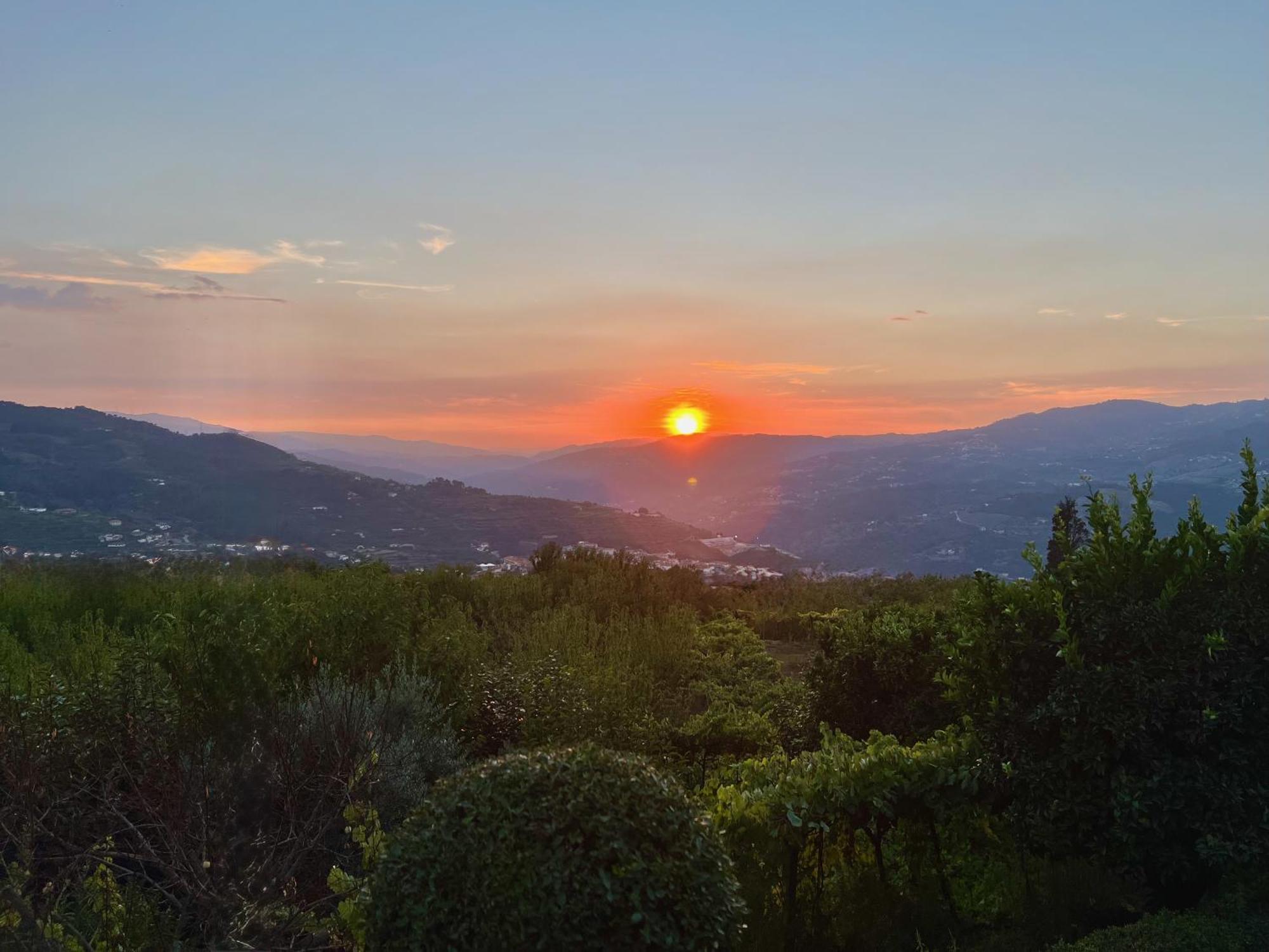 Quinta De Casalmato