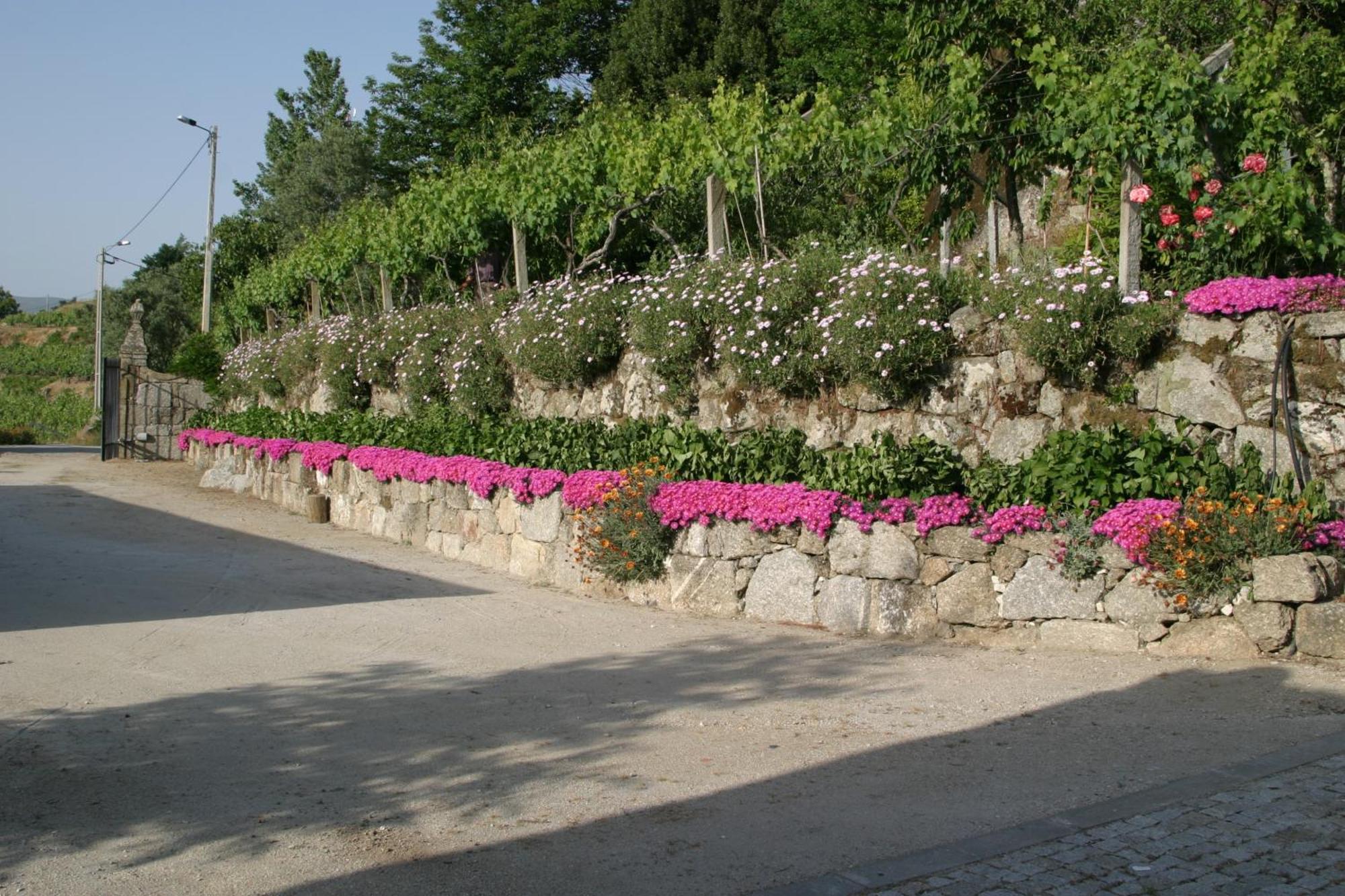 Quinta De Casalmato