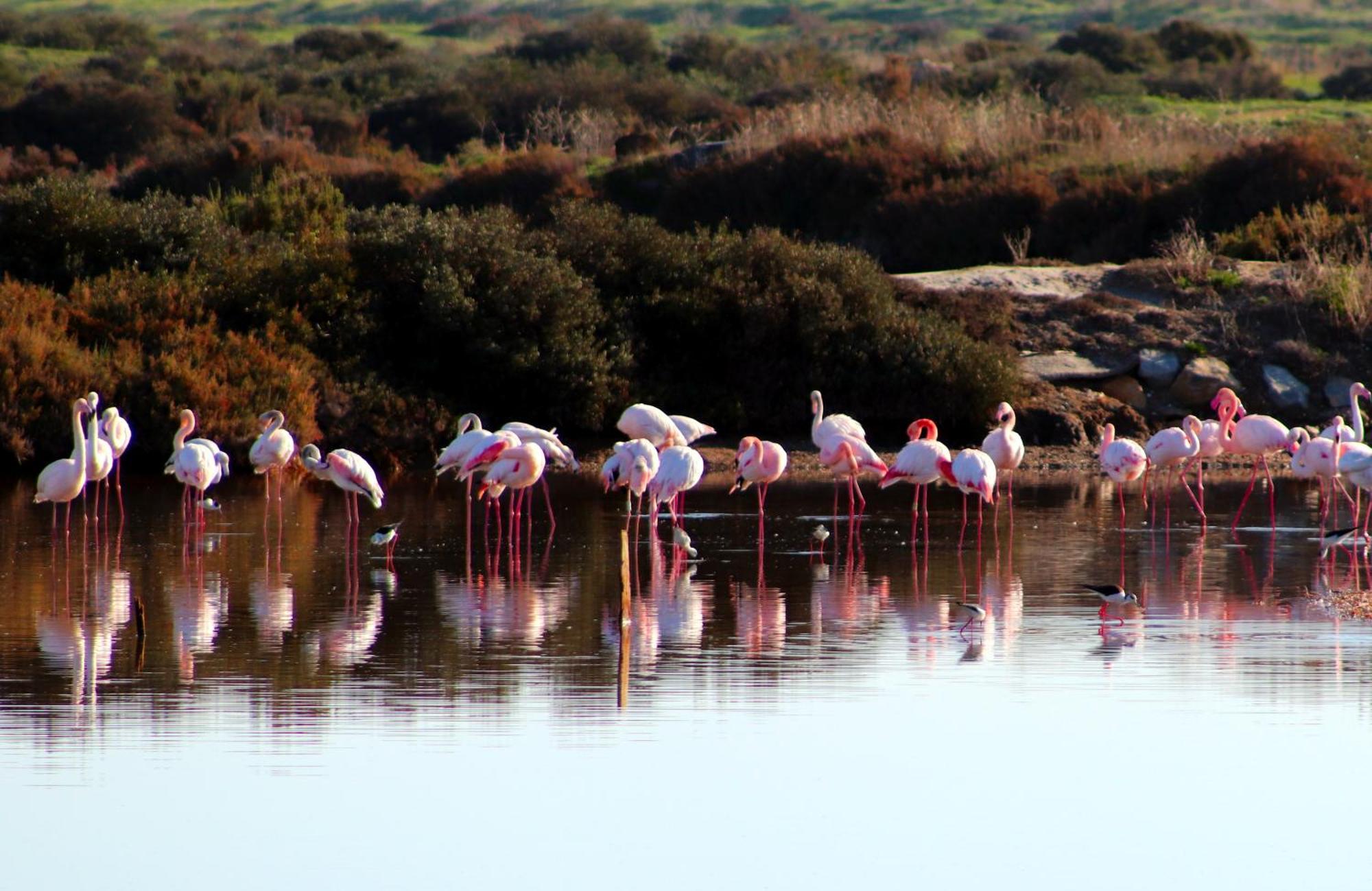Moinhos Das Mares