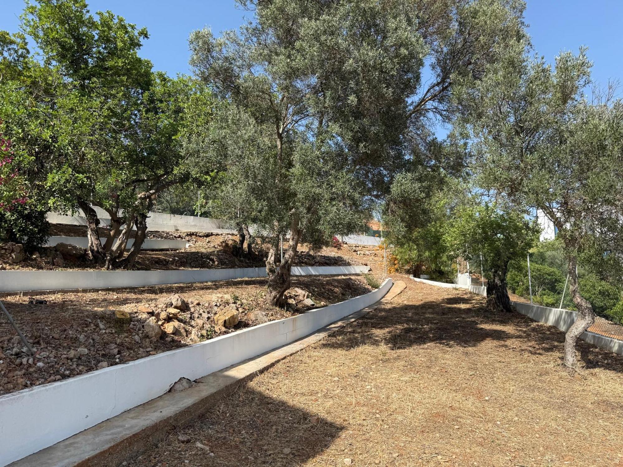 Solar Dos Lirios Holiday home