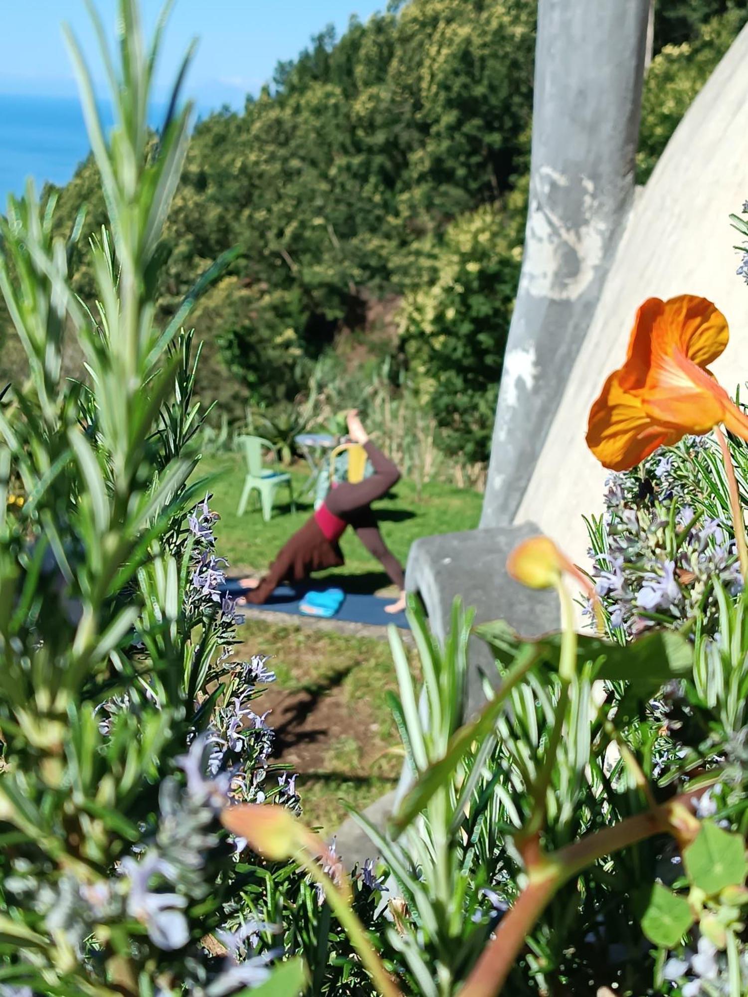 Arambha Ecovillage Campsite