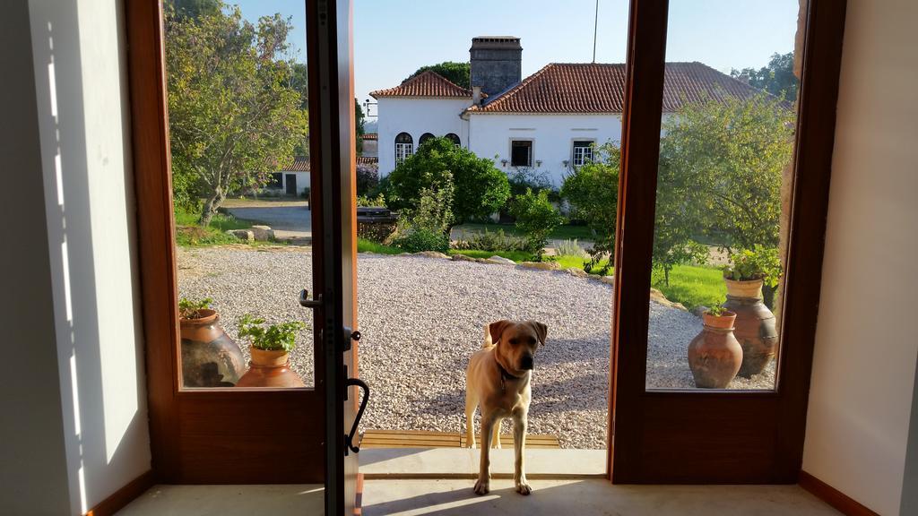 Quinta Da Casa Velha Agroturismo *