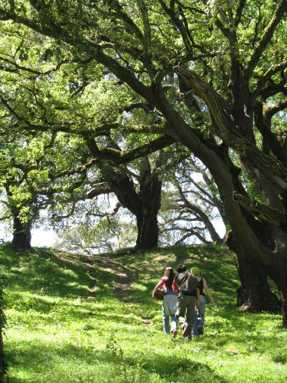Quinta Da Casa Velha Agroturismo Farm stay Ourem