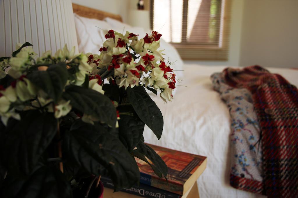 Bed & Breakfast A Casa Da Arvore 3*