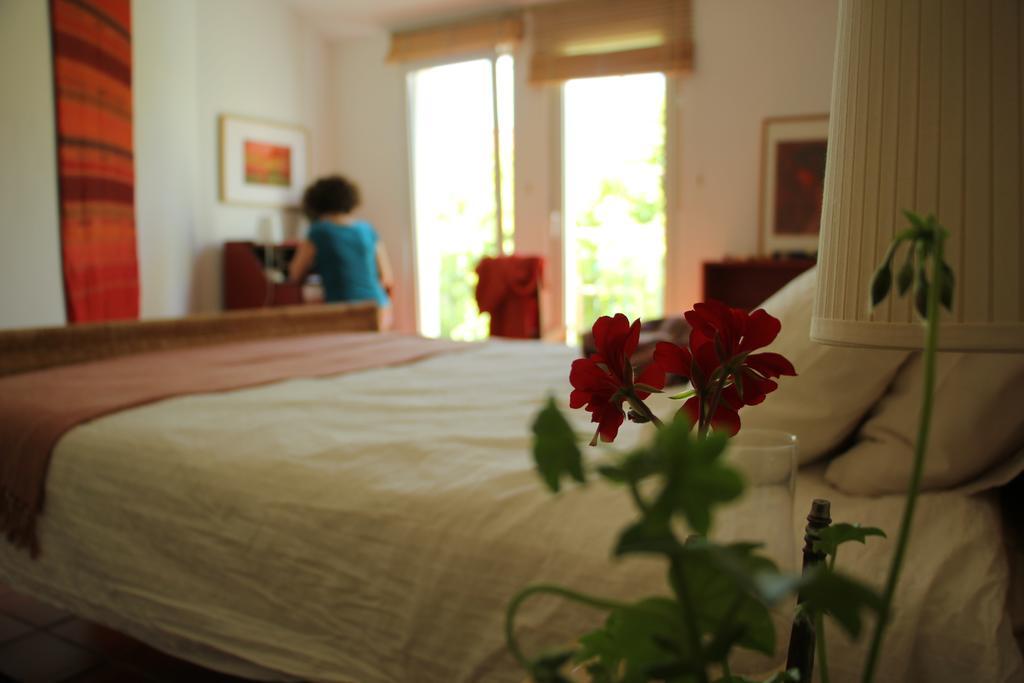 Bed & Breakfast A Casa Da Arvore Vila Nova de Milfontes