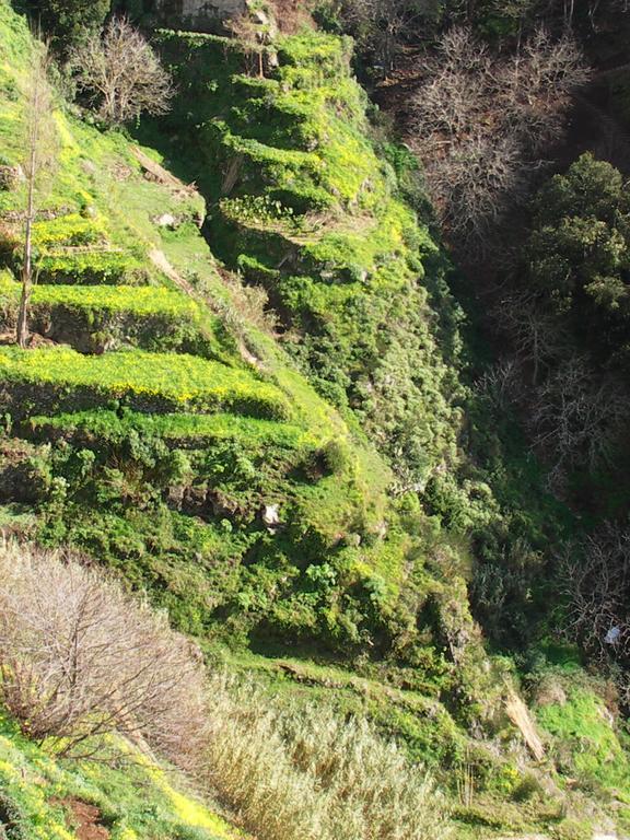 Apartamento Palma Madeira Wandern Und Tauchen Caniço