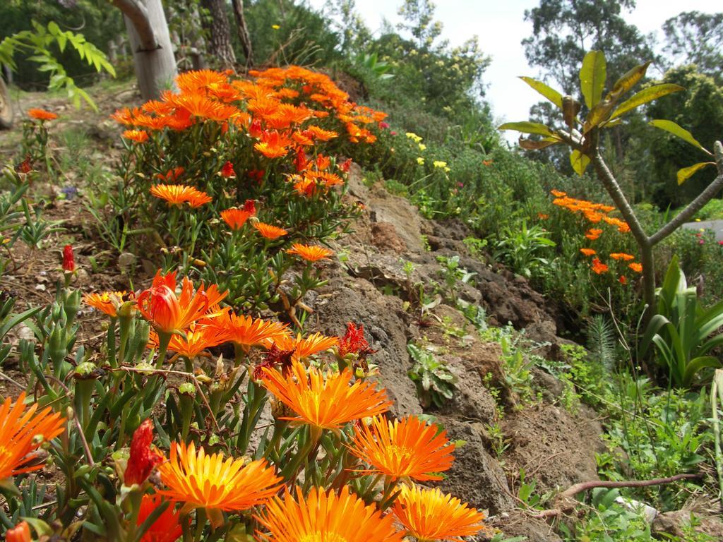 Palma Madeira Wandern Und Tauchen Apartamento *