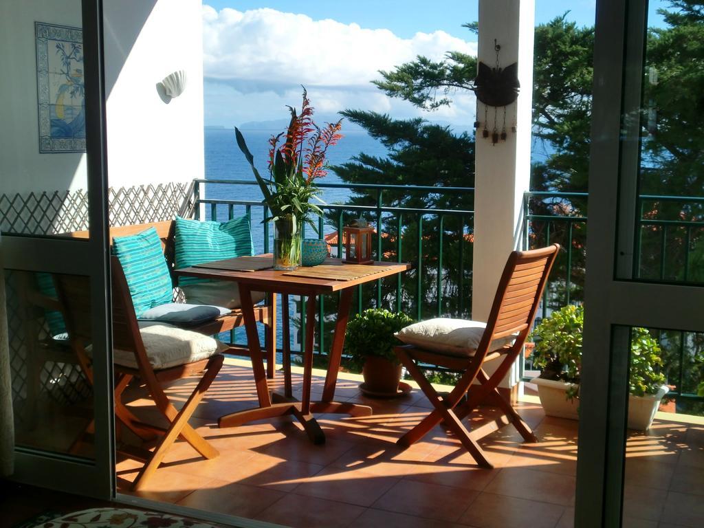 Palma Madeira Wandern Und Tauchen