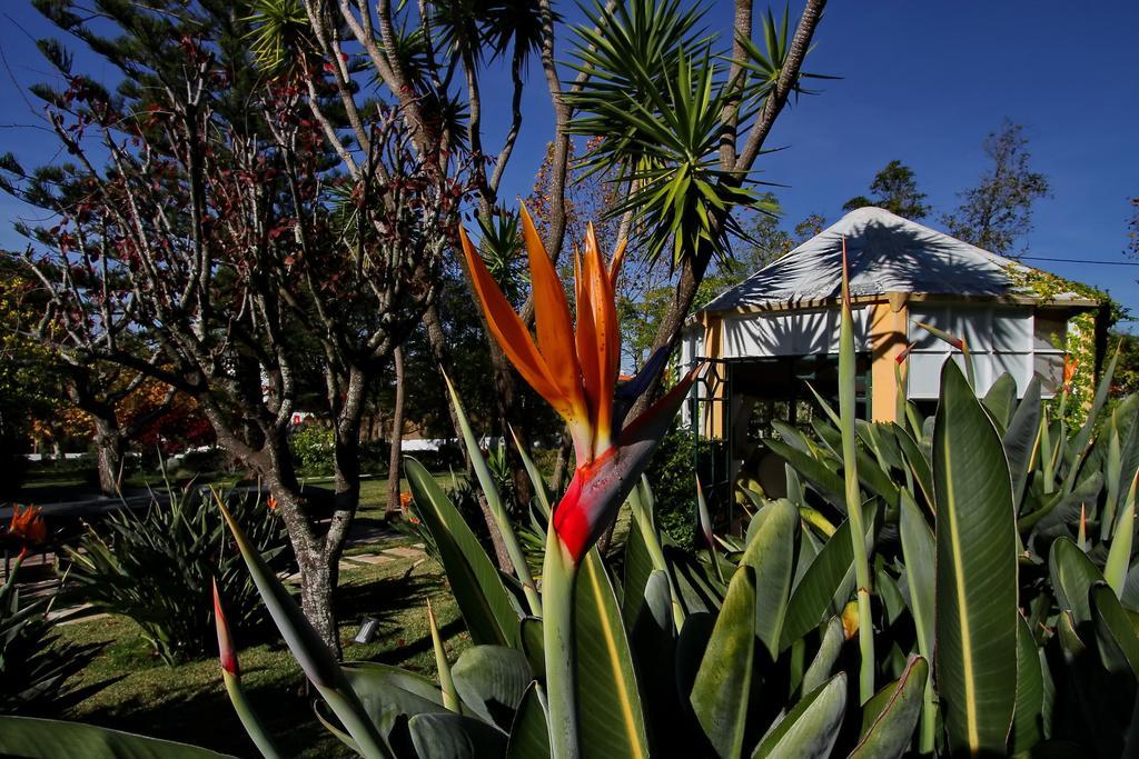 Casa de hóspedes Das Rosas