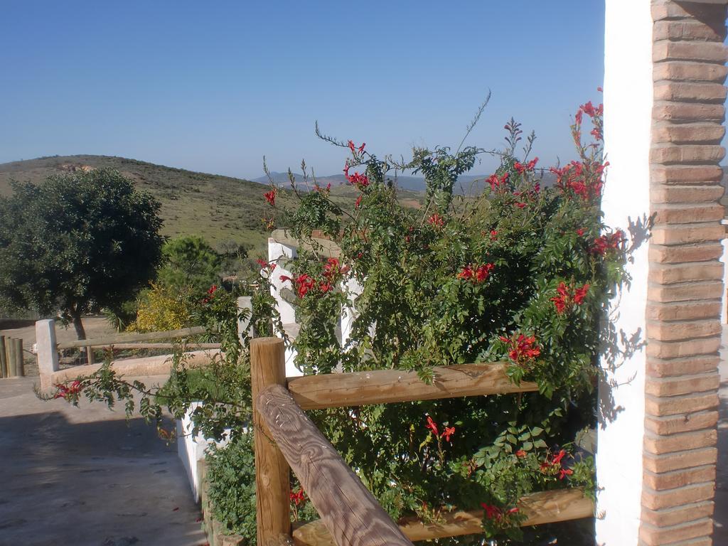Horta Da Quinta *
