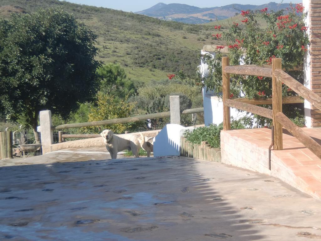 Horta Da Quinta Mértola