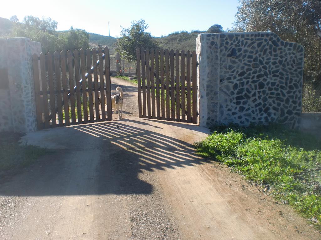Horta Da Quinta *