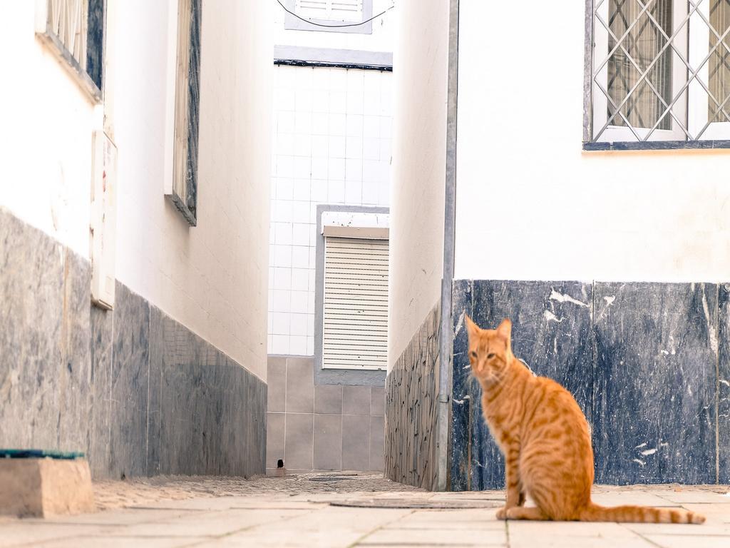 Casa de férias Maison Citron Olhão