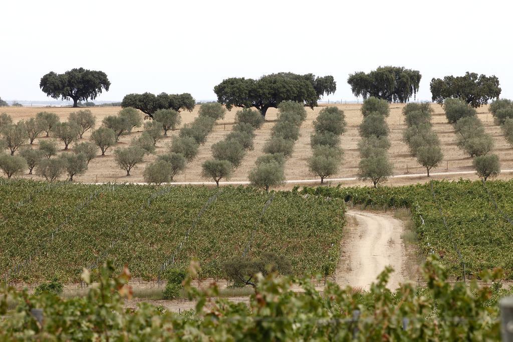 Herdade Da Malhadinha Nova - Relais & Chateaux