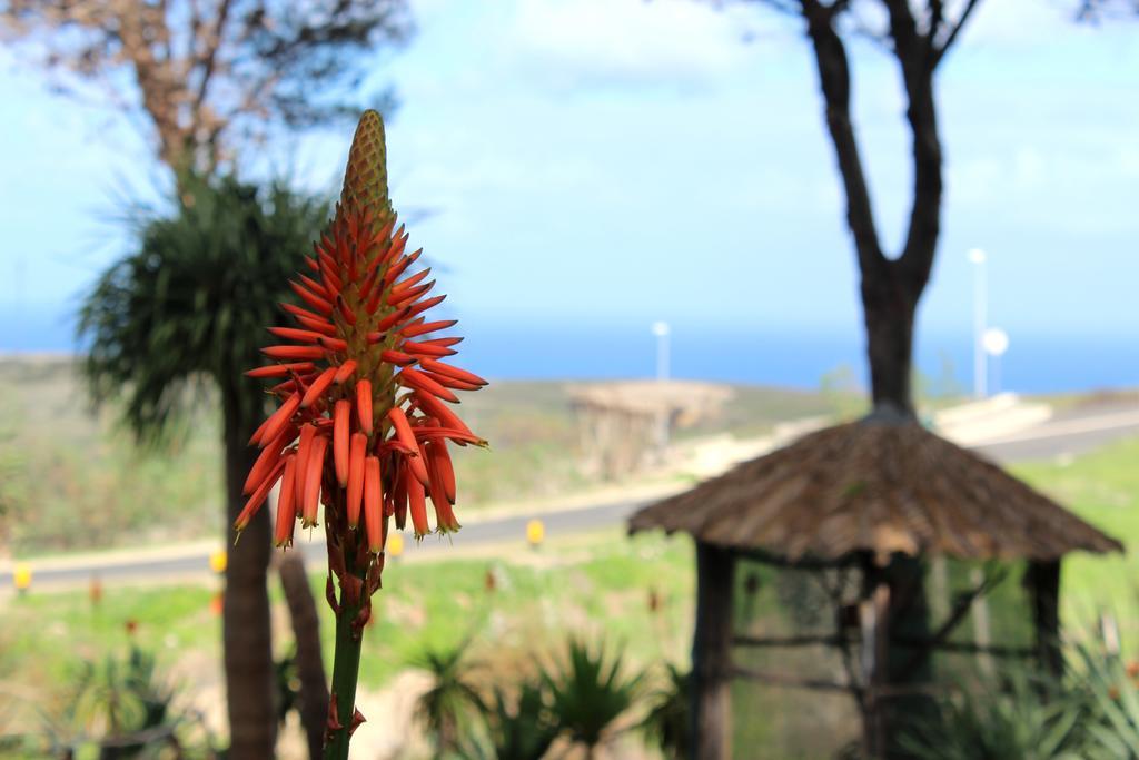 Quinta Do Serrado 4* Vila Baleira (Porto Santo)