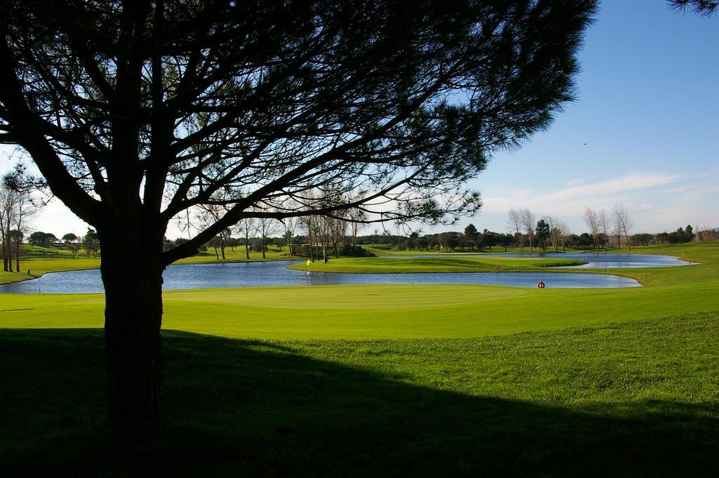 Montado & Golf 4*