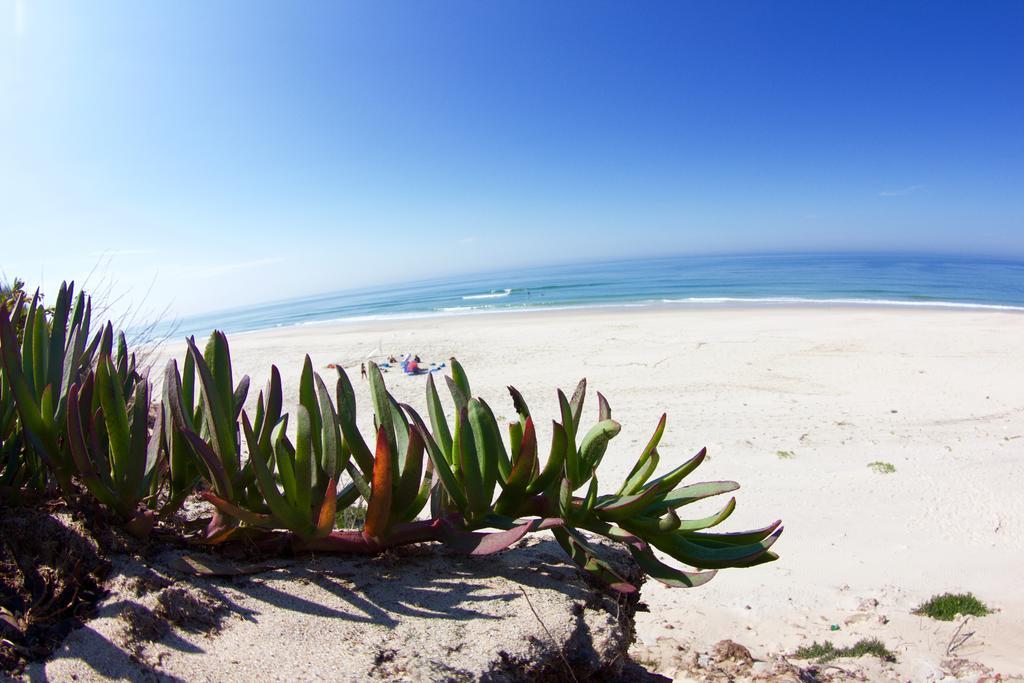 Hostel Oporto Surf Camp Esmoriz
