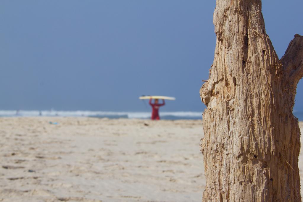 Oporto Surf Camp *
