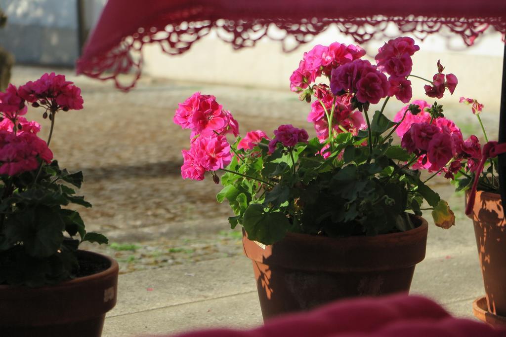 Guest house Solar De Santa Maria