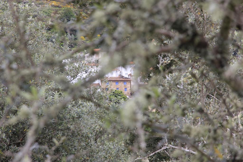 Campus Natura Bed & Breakfast Arganil