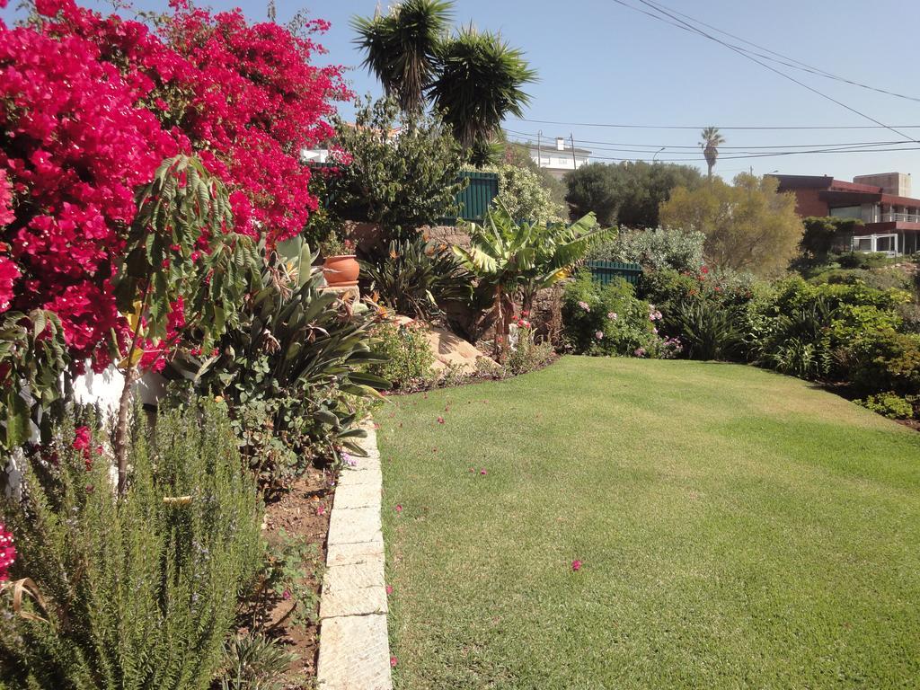 Orchidea Terrace Holiday home