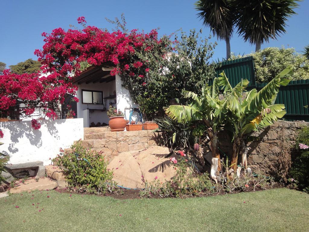 Orchidea Terrace