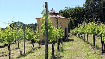 Farm stay Casas Do Monte De Roques