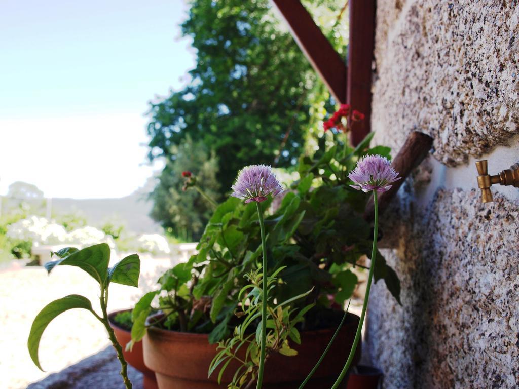 Quinta Da Pousadela - Country house Amarante