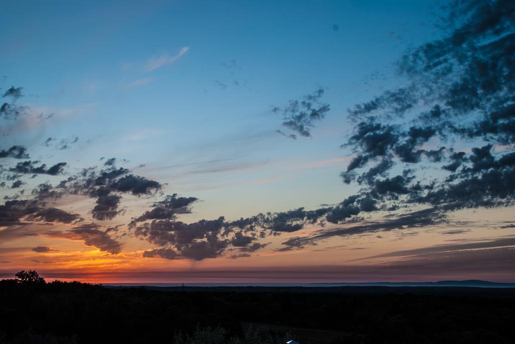 Farm stay A Serenada Enoturismo *