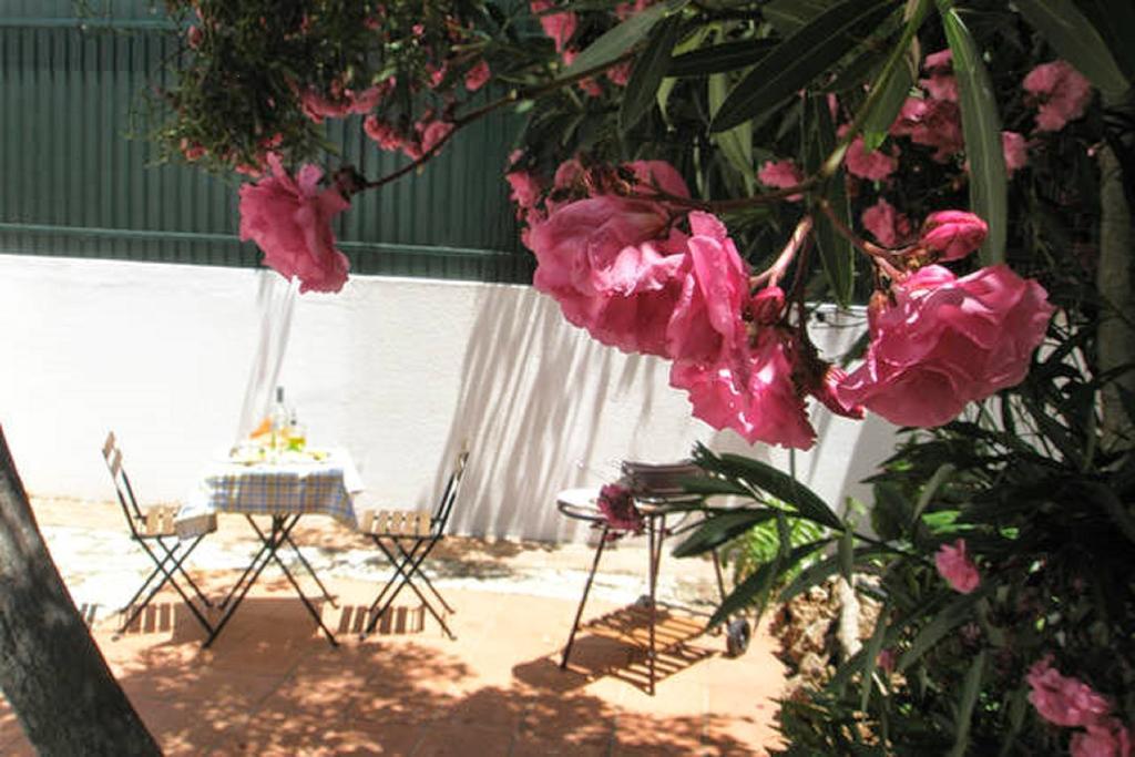Guest house Roaz De Bandeira