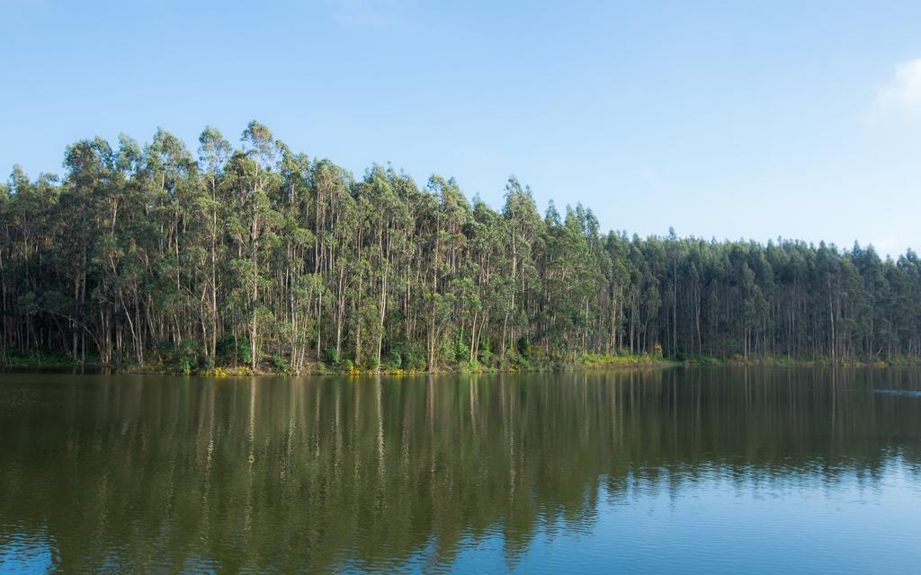 Farm stay Quinta Do Rol