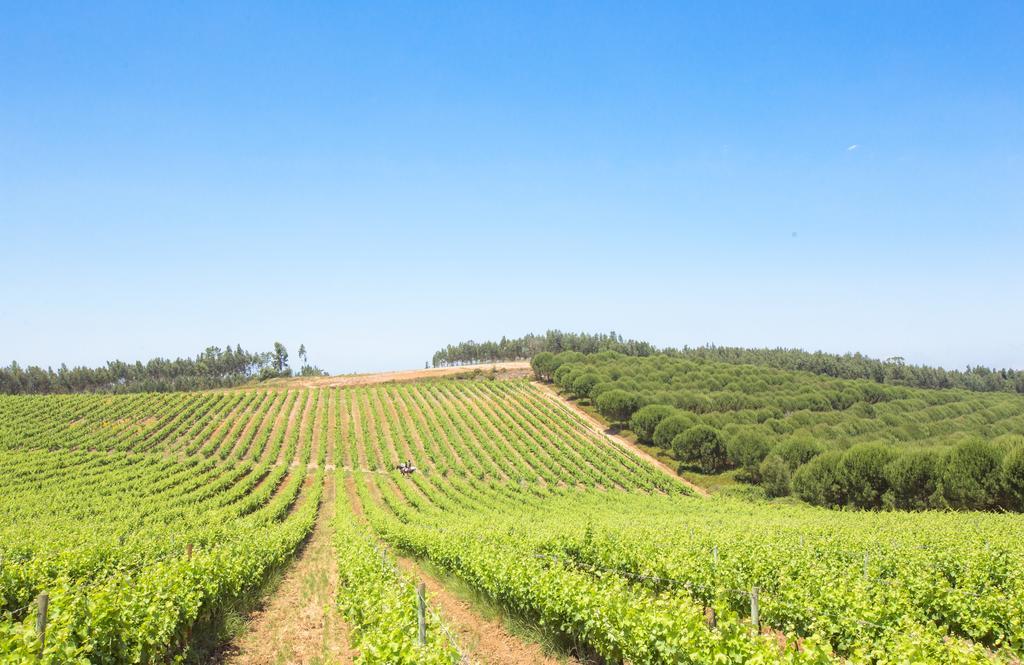 Farm stay Quinta Do Rol *