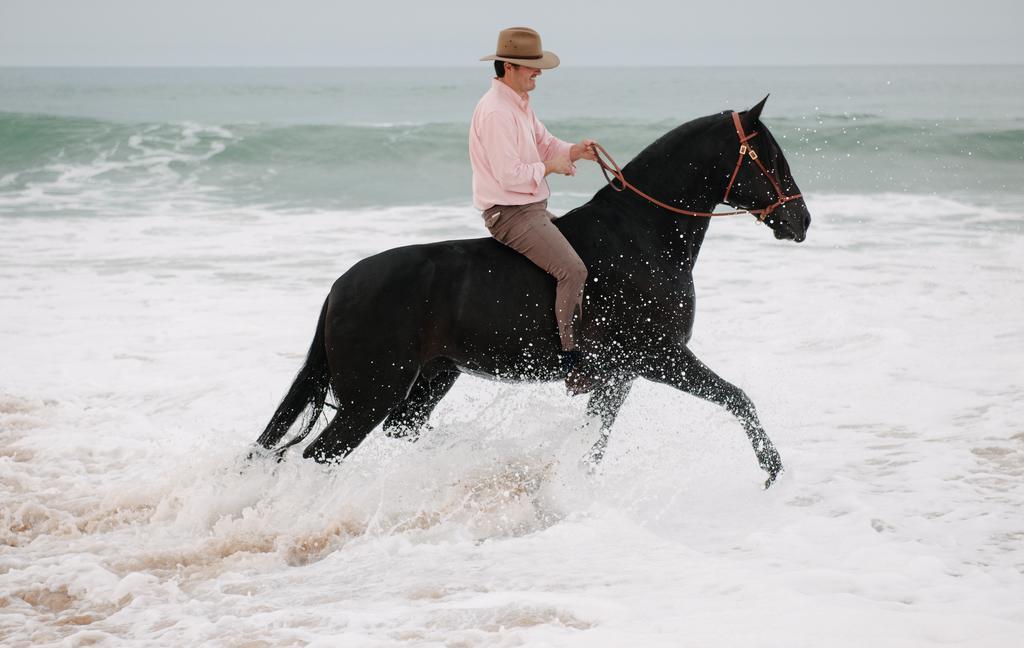 Quinta Do Rol Farm stay *