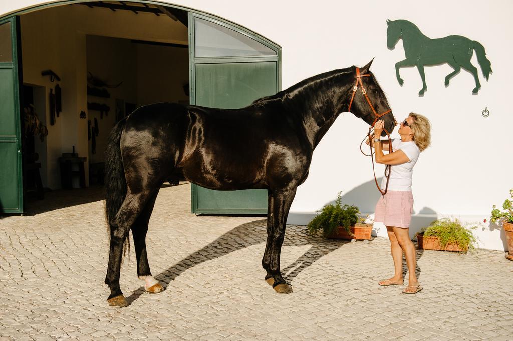 Quinta Do Rol Farm stay Miragaia