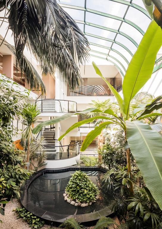 Cidnay - Charming & Executive Center