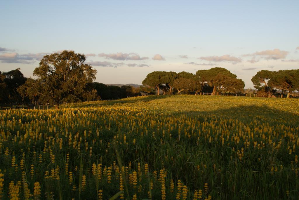 Herdade Da Estacada * Zambujeira do Mar